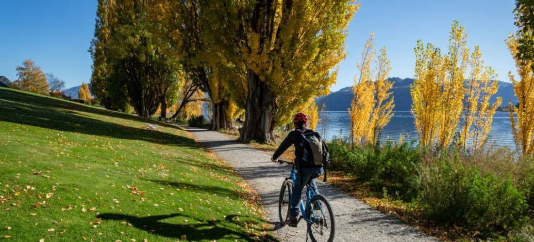 homme sur un chemin en vtt