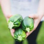 des courgettes bio