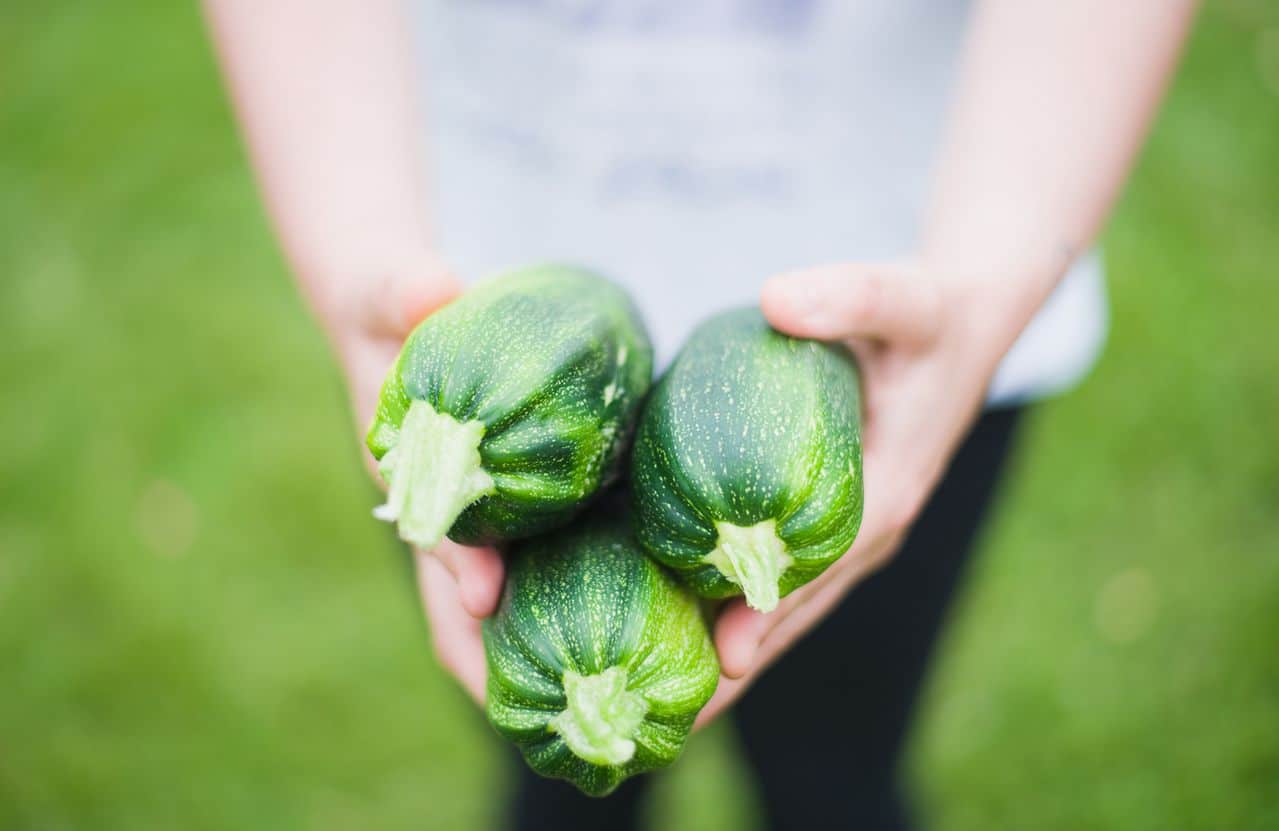 des courgettes bio